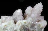 Cactus Quartz (Amethyst) Crystals - Large Cluster #47176-2